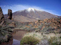 Fare impresa alle Isole Canarie